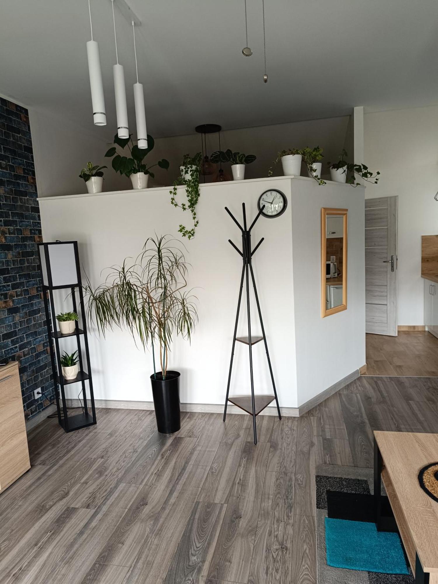 Apartament Przy Bialym Koniu Koszalin Exterior photo